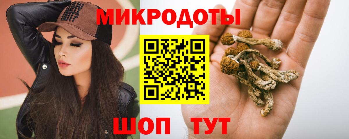 Псилоцибиновые грибы GOLDEN TEACHER  Вход с VPN  Сальск  Галлюциногенные грибы Psilocybine cubensis 