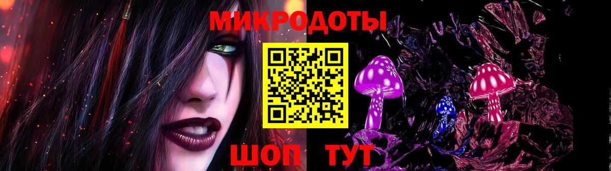 Псилоцибиновые грибы Cubensis Сальск